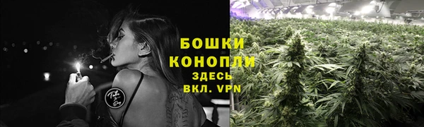 дурь Белоозёрский